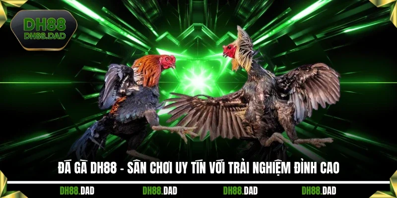 Đá Gà DH88 - Sân Chơi Uy Tín Với Trải Nghiệm Đỉnh Cao