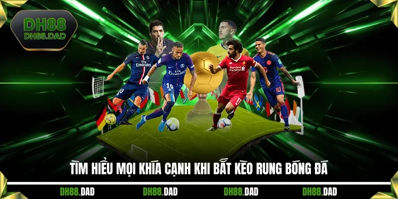 Tìm hiểu mọi khía cạnh khi bắt kèo rung bóng đá